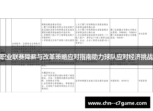 职业联赛降薪与改革策略应对指南助力球队应对经济挑战