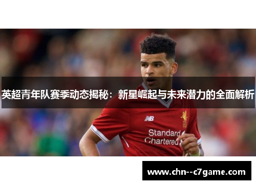 英超青年队赛季动态揭秘：新星崛起与未来潜力的全面解析