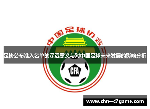 足协公布准入名单的深远意义与对中国足球未来发展的影响分析