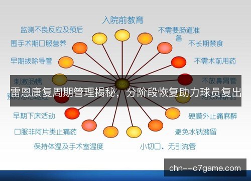 雷恩康复周期管理揭秘，分阶段恢复助力球员复出